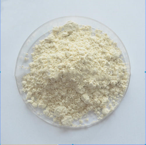 Sophora Japonica Extract Sophoricoside