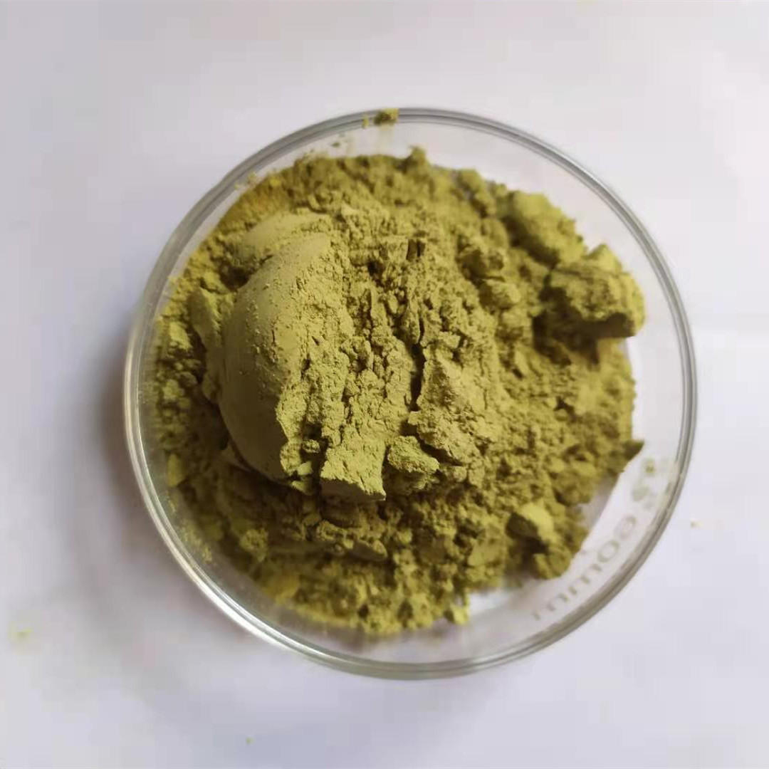 Cyanotis Arachnoides Extract Powder Beta-Ecdysterone 50% 95% HPLC And UV