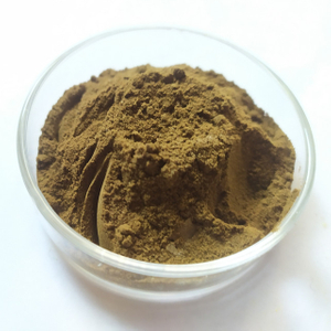 Solanum Nigrum Extract Powder